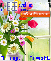 Flowers Beautiful theme screenshot