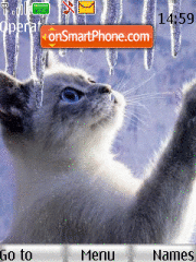 Cat Winter Animated tema screenshot