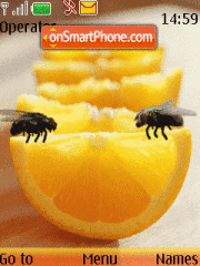 Скриншот темы Fly $ orange animated
