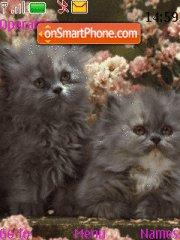 2 Kittens tema screenshot