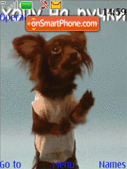 Dancing Dog tema screenshot