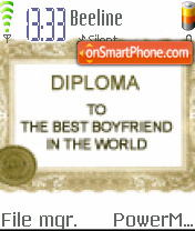 Скриншот темы Diploma