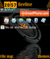 Walkman 09 theme screenshot