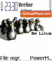 Скриншот темы Linux 11
