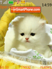 Скриншот темы Yellow Cute Cat