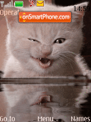 Pusi cat Theme-Screenshot