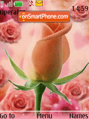Animated Pink Rose theme screenshot