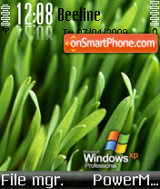 Capture d'écran Windows XP Grass thème