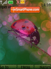 Ladybird animated es el tema de pantalla