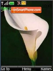 Capture d'écran Calla lily thème