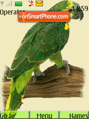 Animated Parrot 01 tema screenshot