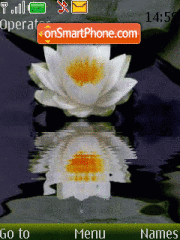 White lotus animated tema screenshot