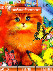 Animated Orange Cat 01 theme screenshot