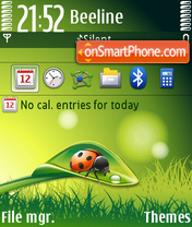 Spring With Ladybug (Touch) 01 theme screenshot