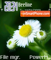 White Flower 01 tema screenshot
