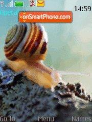 Snail es el tema de pantalla