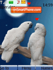 Love Birds 01 theme screenshot