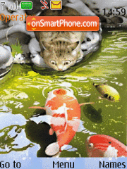 Cat and Fish theme screenshot