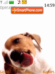 Dog Theme-Screenshot