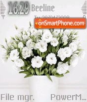 White Flowers 01 theme screenshot