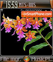 Windows Vista Orchid tema screenshot