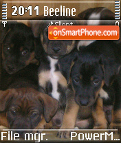Puppies 01 theme screenshot