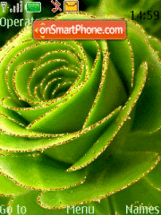 Green rose es el tema de pantalla