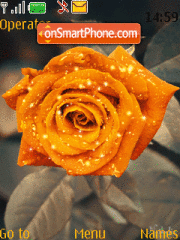Orange Rose theme screenshot