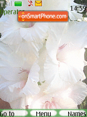 White gladiolus es el tema de pantalla