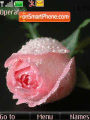 Pink rose animated tema screenshot
