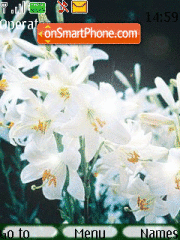 White lily es el tema de pantalla