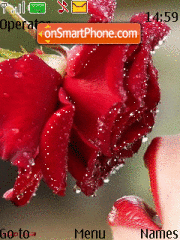 Red rose Theme-Screenshot