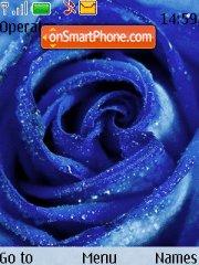 Blue rose es el tema de pantalla
