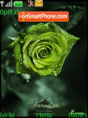 Capture d'écran Green Rose thème