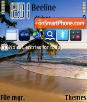 Palm on the beach theme screenshot