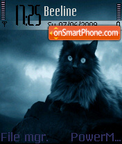 Lonely Cat theme screenshot