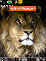 Animated Wild Lion theme screenshot