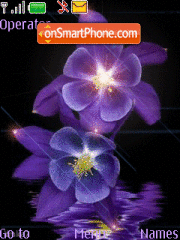 Скриншот темы Purple Flower