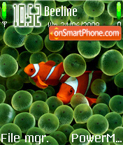 ClownFish tema screenshot