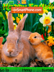 Easter Bunnies theme screenshot