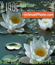 Capture d'écran White Lotus thème