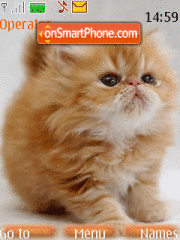 Ginger Kitten Animated theme screenshot