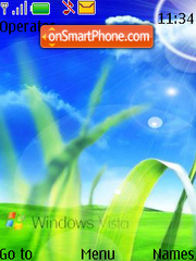 Capture d'écran Vista Xp thème