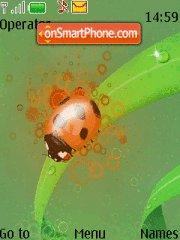 Ladybird Theme-Screenshot