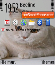 Cats 13 theme screenshot