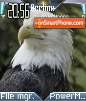 Capture d'écran Eagle 03 thème