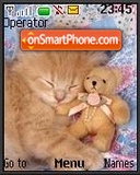 Cat and Bear theme screenshot
