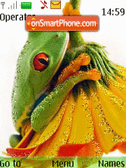 Animated Frog 01 tema screenshot