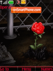 Rose in the city theme screenshot