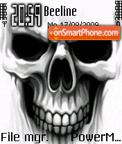 Скриншот темы Ghost Skull